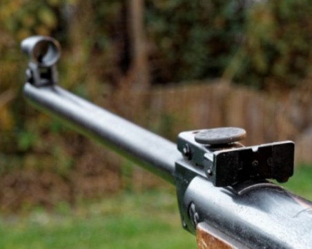 Арестуваха мъж, застрелял куче в Ракитово