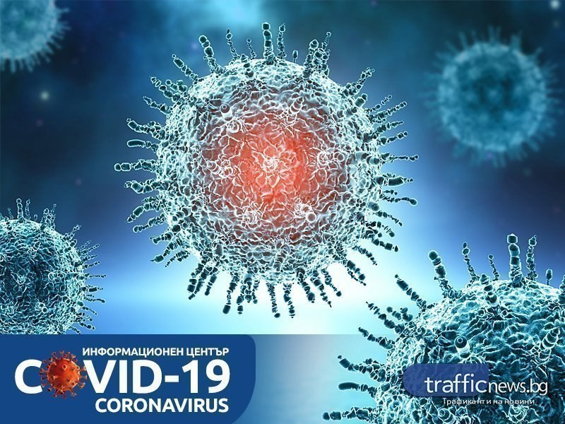 COVID кризата в цифри: 669 новoзаразени - 7,8% от тестваните