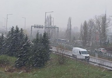 Сняг заваля в Западна България Интензивните валежи започнаха малко след