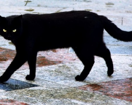 Ето кои са най-суеверните зодии