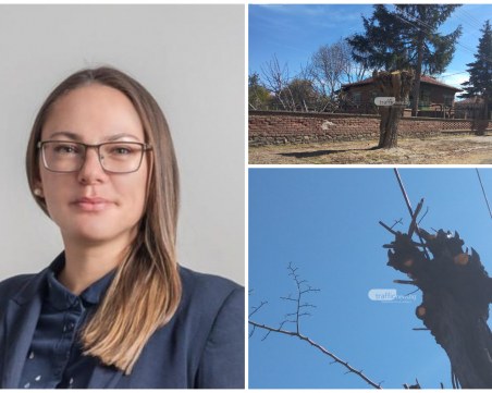 Ландшафтен архитект след 