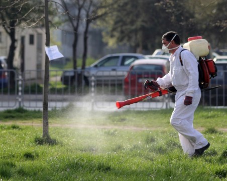След празниците продължава пръскането срещу кърлежи в Пловдив