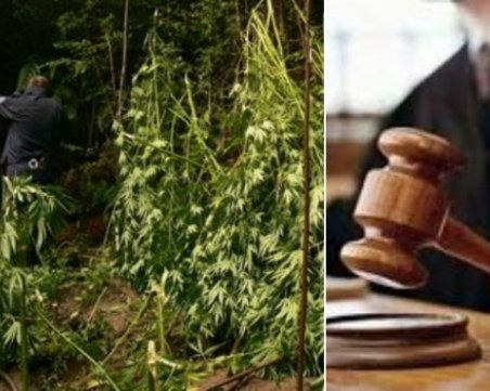 Фермер отглеждащ марихуана осъди пловдивската полиция, бил бит по време на арест
