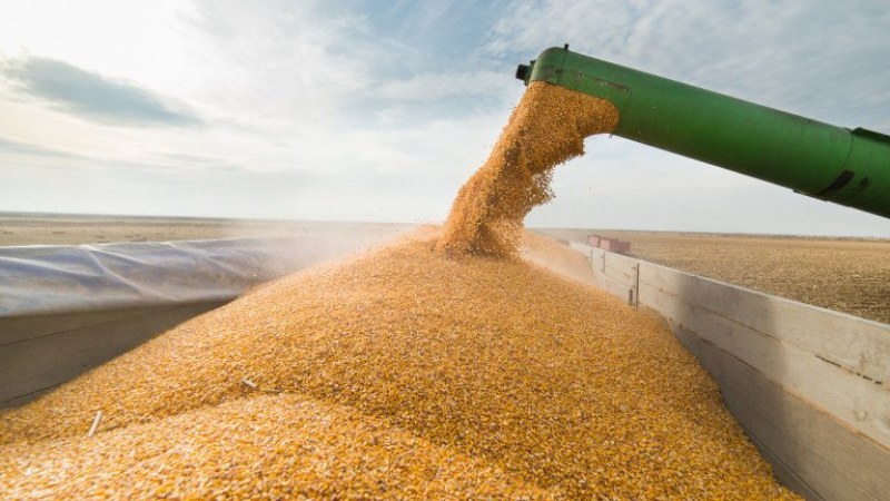 Руските сили са откраднали няколкостотин хиляди тона зърно в районите