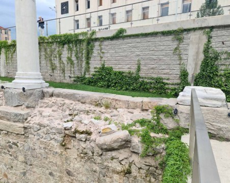 Саморасляци застрашават археологията на Форума на пл.