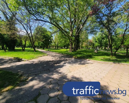 Кърлежи плъзнаха из парк в Кършияка, нападат кучета и малки деца