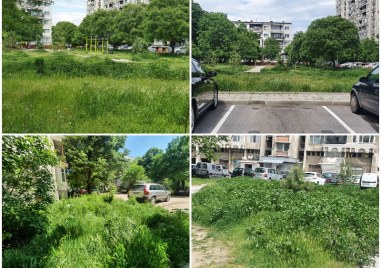Пловдивския квартал Кършияка буквално е заприличал на джунгла Всички паркове