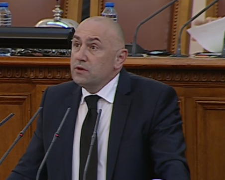 Каримански поиска планът за еврото да се разгледа от парламента