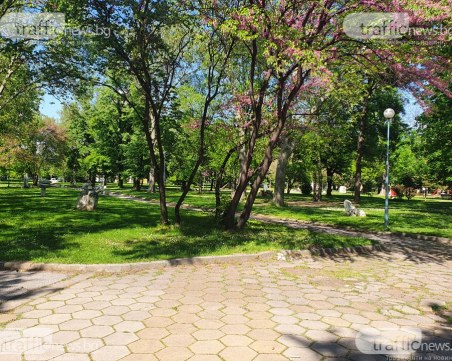 След публикация на TrafficNews: Пръскат по спешност повторно за кърлежи в Кършияка