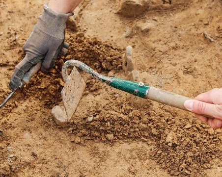 Откриха фосили на 66 млн. години в пешеходна пътека до мол в Банкок