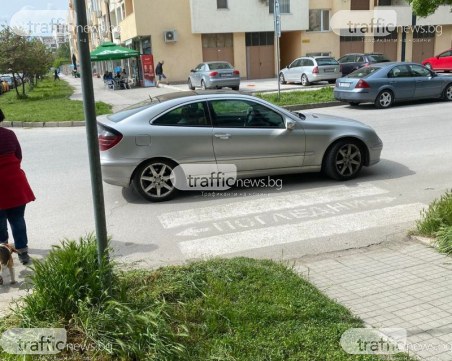 Шофьорка спря на пешеходна пътека в Пловдив, за да си купи кафе