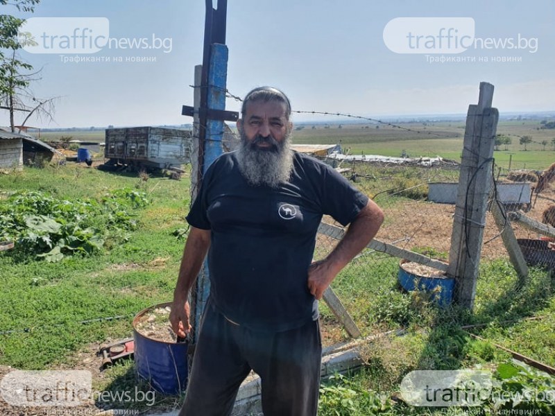 Роми  нападнаха с вили и тояги  кипърски земеделец в Белозем