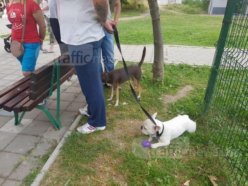 Започва кампанията