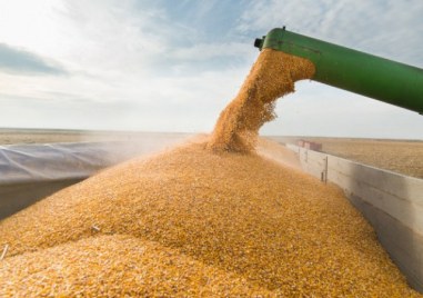 Над 25 милиона тона украинска пшеница не могат да бъдат
