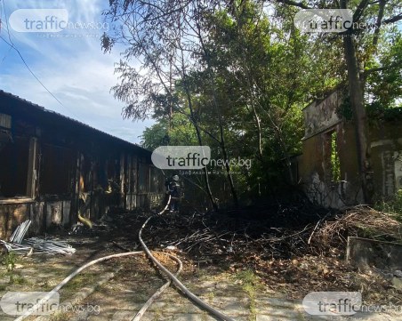 Пожарът в центъра на Пловдив - тръгнал от клони, подозират и умишлен палеж