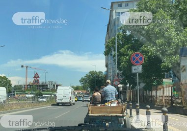 Въпреки общинската наредба която забранява движението на каруци в града