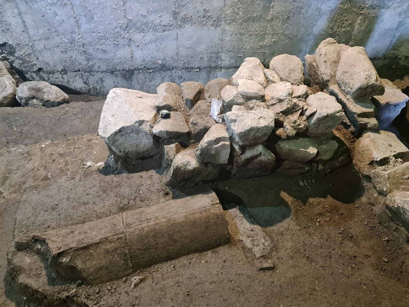 Откриха необичайно погребение от Средновековието на хора и коне с отрязани глави в Пловдив