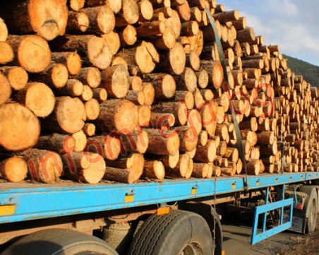 Над 4500 проверки са извършили инспектори от държавните горски предприятия за четири дни