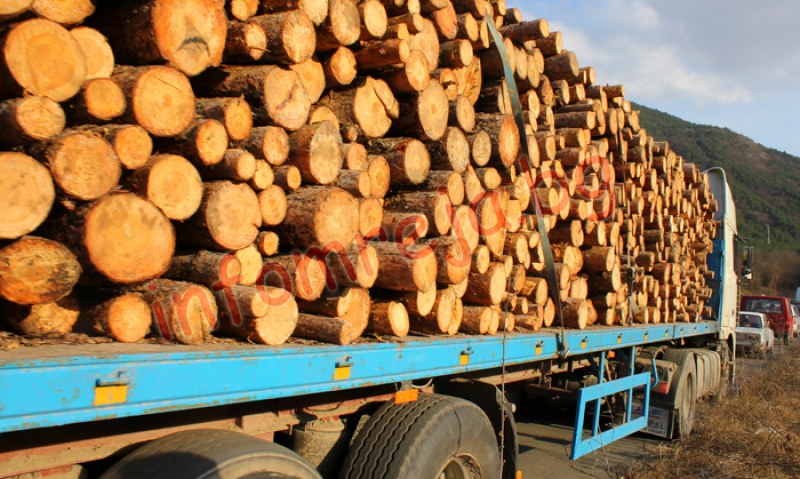 Над 4500 проверки са извършили инспектори от държавните горски предприятия за четири дни