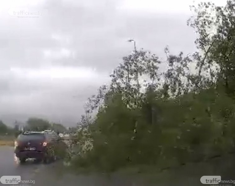 Бурята, която връхлетя Пловдив, събори редица дървета и клони в