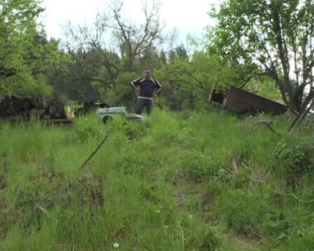 Набезите на мечки в Смолянско зачестяват: През 2020 г. са 80, на следващата - 188