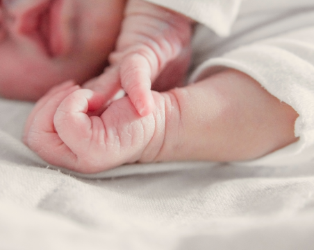 Бебешки бум в Пловдив тази година