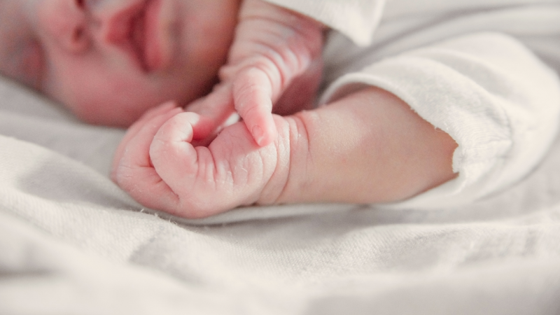 Бебешки бум тази година в Пловдив. Новородените през първото тримесечие