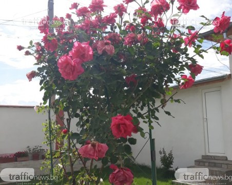 Слънце през деня, следобед – превалявания