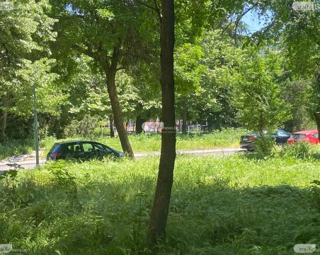 Продължава косенето на буйните треви в Пловдив, работят и на 24 май