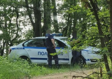 Софийските криминалисти откриха седем трупа на възрастни хора в гориста