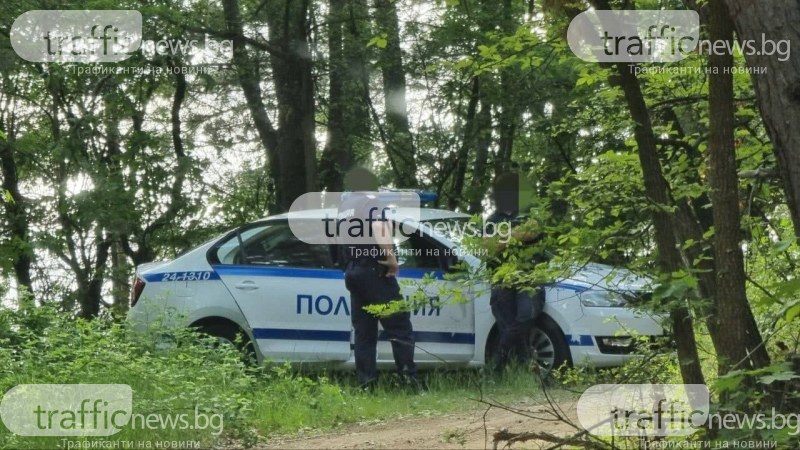 Откриха 7 трупа, заровени в гора край София