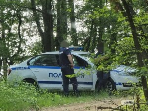 Откриха 7 трупа, заровени в гора край София