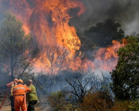 Пожар гори край Рилския манастир
