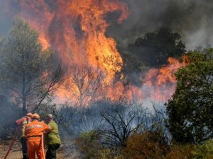 Пожар гори край Рилския манастир
