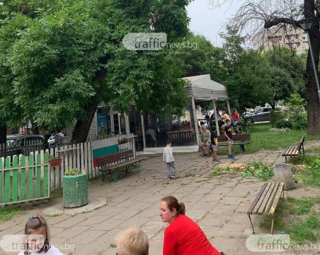 Над 20 деца играели на детската площадка в Пловдив, на която се стовари голям клон