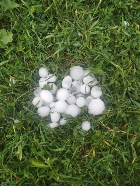 Градушка с големината на яйце удари Хасковско, унищожи реколта