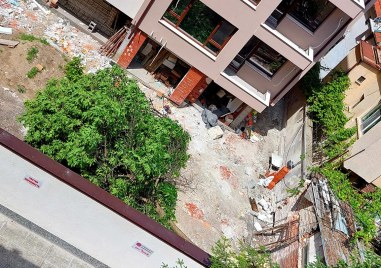 Отрязаха дърво в центъра на Пловдив Съседка опитала се да