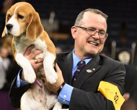 300 кучета минават по червения килим в Колодрума! Кой ще е победителят?