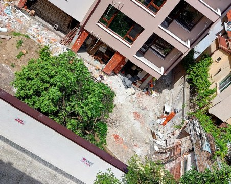 Отрязаха дърво в центъра на Пловдив, предупредиха съседка 