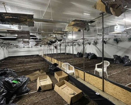 Полицията разкри високотехнологична наркооранжерия