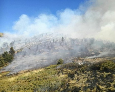 Пожарът в Рила е овладян