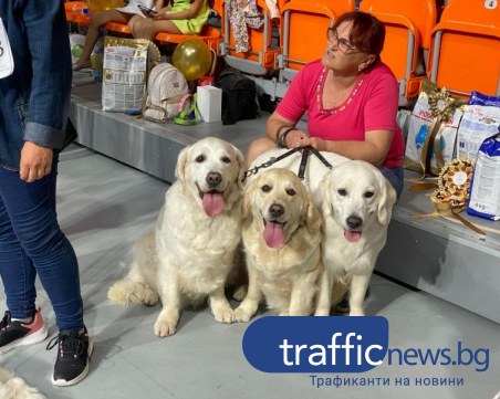 Най-красивите кучета на изложба в Пловдив СНИМКИ