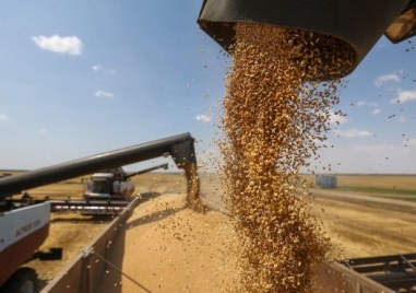 Контролираната от Русия Херсонска област в Украйна започна да изнася