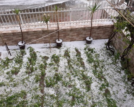 Жители на Родопите: Градушката беше ад, има убити животни