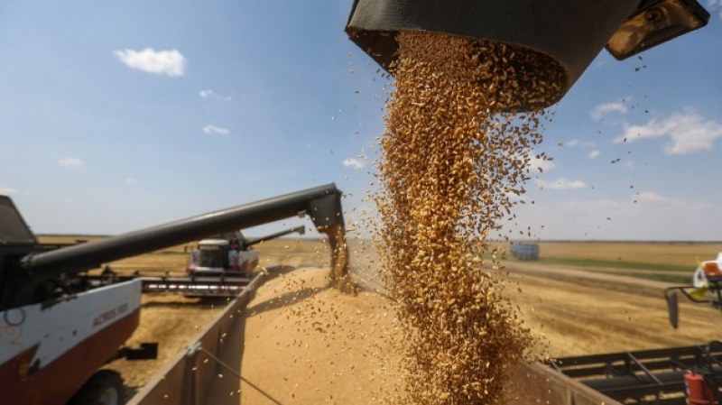 Херсонска област ще изнася зърно за Русия