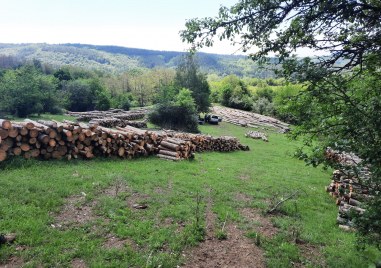 Три тира с дърва са запалени в село Свежен община
