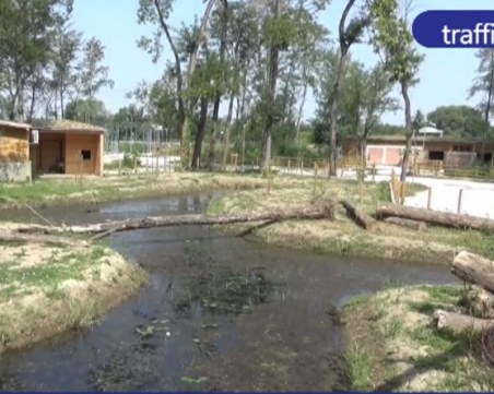 Правят нова експертиза за зоопарка в Пловдив, краят на сагата няма да е и тази година