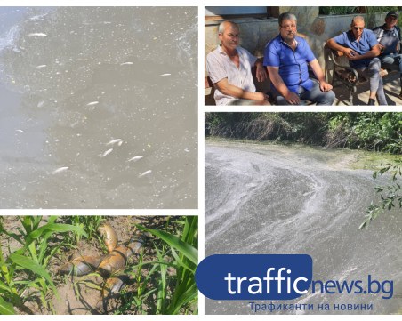 Вода, с цвят на боза, отрови рибата в канала край Ягодово, мръсотията се изсипва и в река Марица