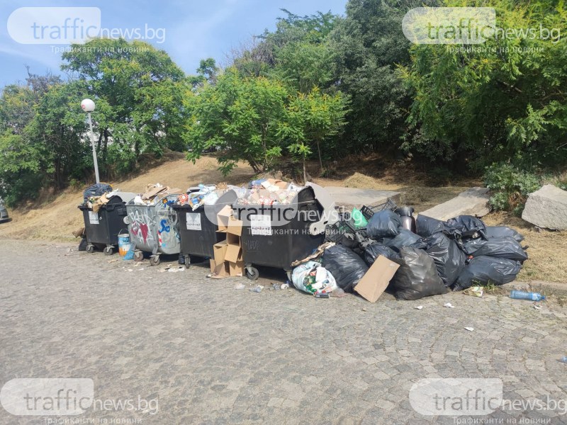 След фестивала на Младежкия хълм: Контейнерите преливат от боклуци, има зарязани над 20 чувала