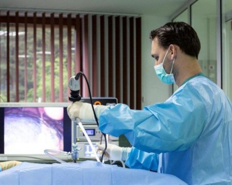 Извършиха първата лапароскопска операция на мечка в България